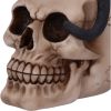 Familiar Fate 24.3cm Cats Statues Medium (15cm to 30cm)