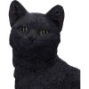 Familiar Fate 24.3cm Cats Statues Medium (15cm to 30cm)