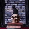 Familiar Fate 24.3cm Cats Statues Medium (15cm to 30cm)