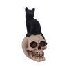 Familiar Fate 24.3cm Cats Statues Medium (15cm to 30cm)
