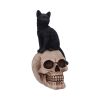 Familiar Fate 24.3cm Cats Gifts Under £100