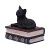 Salems Spells 11.7cm Cats Gifts Under £100