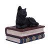 Salems Spells 11.7cm Cats Gifts Under £100