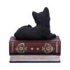 Salems Spells 11.7cm Cats Gifts Under £100