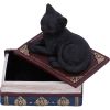 Salems Spells 11.7cm Cats Gifts Under £100