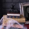 Salems Spells 11.7cm Cats Gifts Under £100