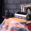 Salems Spells 11.7cm Cats Gifts Under £100