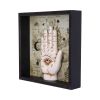 Palmistry Companion 20.2cm Palmistry Spiritual Product Guide