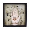 Palmistry Companion 20.2cm Palmistry April Flash Sale Day 1