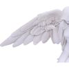 Angels Offering 38cm Angels Back in Stock