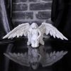 Angels Offering 38cm Angels Back in Stock