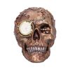Scrapped 19cm Skulls Steampunk