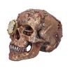 Scrapped 19cm Skulls Steampunk
