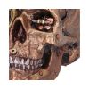 Scrapped 19cm Skulls Steampunk