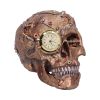 Scrapped 19cm Skulls Steampunk