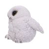 Feathers 12.5cm Owls Out Of Stock