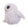 Feathers 12.5cm Owls Gifts Under £100