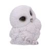 Feathers 12.5cm Owls Out Of Stock