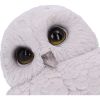 Feathers 12.5cm Owls Out Of Stock