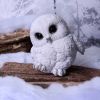 Feathers 12.5cm Owls Out Of Stock