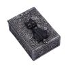 Familiar Spell Box 13.7cm Cats Gifts Under £100