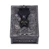 Familiar Spell Box 13.7cm Cats Gifts Under £100