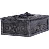 Familiar Spell Box 13.7cm Cats Gifts Under £100