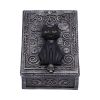 Familiar Spell Box 13.7cm Cats Gifts Under £100