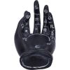 Palmist's Prediction (Black) 18.3cm Palmistry April Flash Sale Day 3