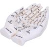 Palmist's Guide (White) 22.3cm Palmistry Sale Additions