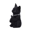 Cattitude 16.5cm Cats Back in Stock