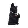 Cattitude 16.5cm Cats Back in Stock