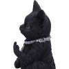 Cattitude 16.5cm Cats Stock Arrivals