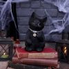 Cattitude 16.5cm Cats Stock Arrivals