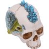 Crystal Cave Blue 16.5cm Skulls Gifts Under £100