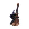 Familiars Broom 11.5cm Cats Gifts Under £100