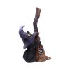 Familiars Broom 11.5cm Cats Gifts Under £100