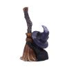 Familiars Broom 11.5cm Cats Gifts Under £100