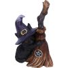 Familiars Broom 11.5cm Cats Gifts Under £100