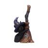 Familiars Broom 11.5cm Cats Gifts Under £100