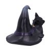 Prue 10.5cm Cats Flash Sale Cats & Dragons