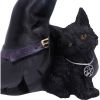 Prue 10.5cm Cats Flash Sale Cats & Dragons