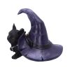 Piper 10.5cm Cats Stock Arrivals
