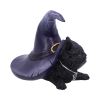 Piper 10.5cm Cats Stock Arrivals