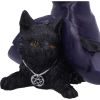 Piper 10.5cm Cats Stock Arrivals