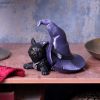 Piper 10.5cm Cats Stock Arrivals