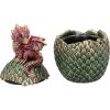 Dragonling Perch Box (Red) 14cm Dragons Dragons