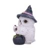 Owl Potion 17.5cm Owls Gifts Under £100