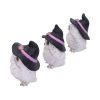 Three Wise Feathered Familiars 9cm Owls Gifts Under £100