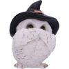 Three Wise Feathered Familiars 9cm Owls Gifts Under £100